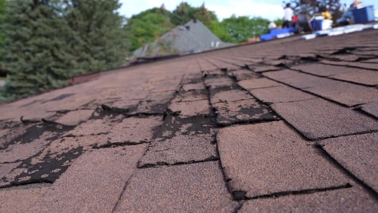 Best Commercial Roofing Services  in Albion, IL