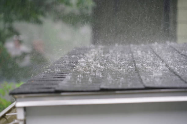 Best Rubber Roofing (EPDM, TPO)  in Albion, IL