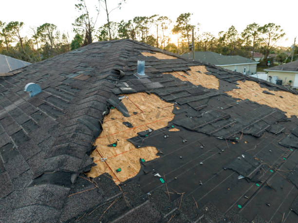 Best Roofing for New Construction  in Albion, IL