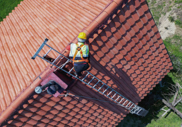 Best Rubber Roofing (EPDM, TPO)  in Albion, IL