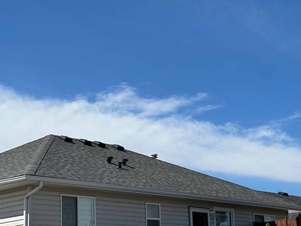 Best Storm Damage Roof Repair  in Albion, IL